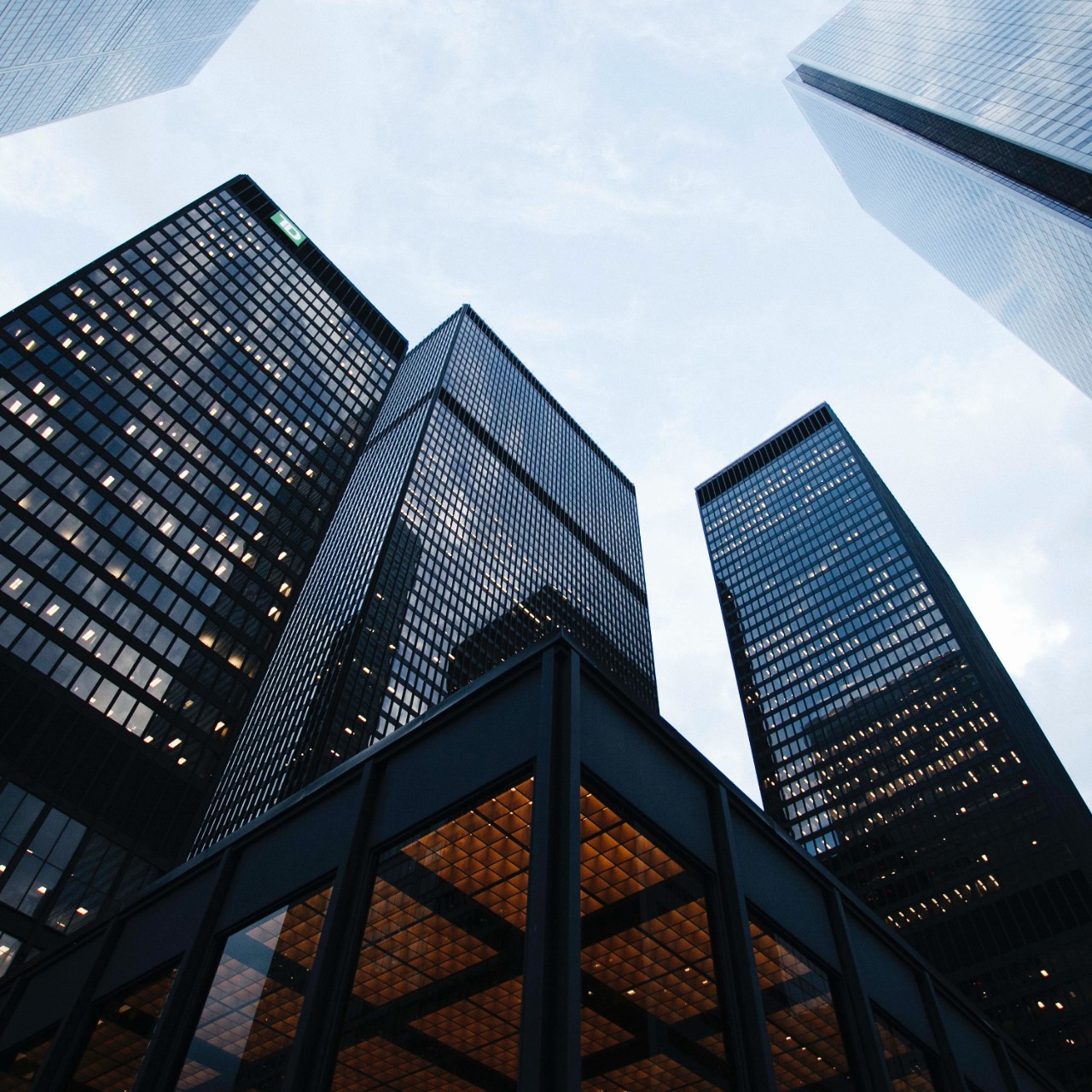 Finance Dora_quadrato