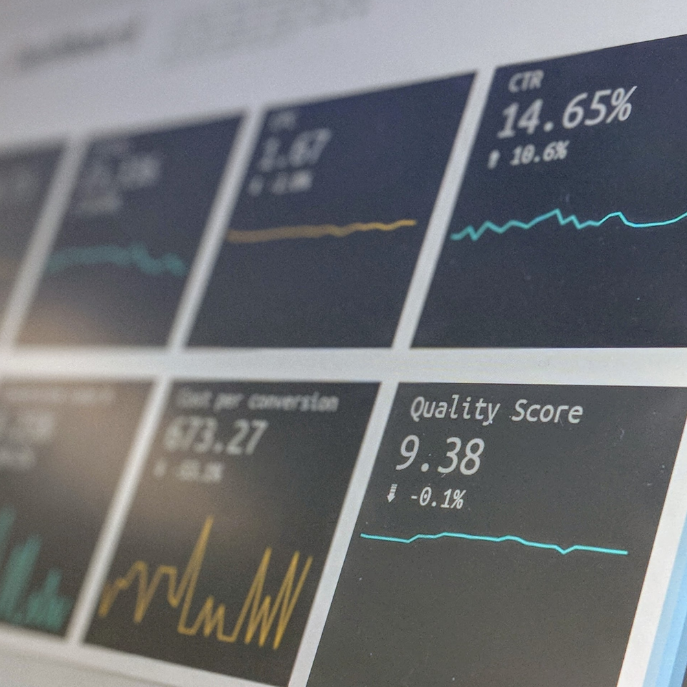 1000x1000 (8)