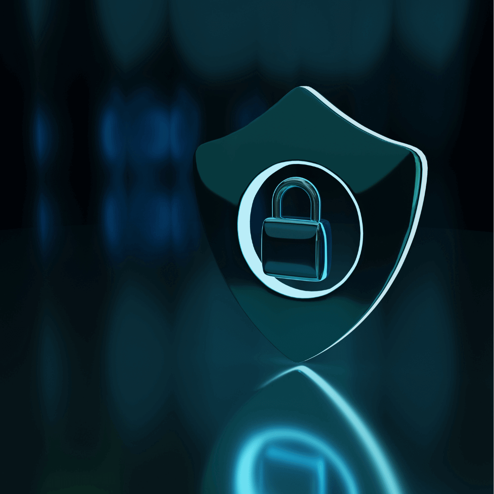 Data Protection pic 3