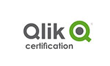 Qlik-Cert Logo