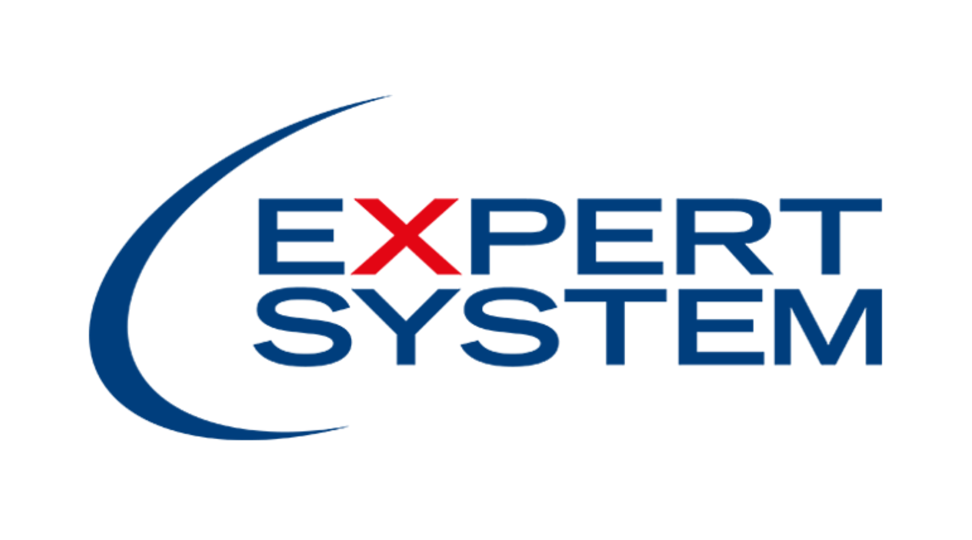 What Means Expert System